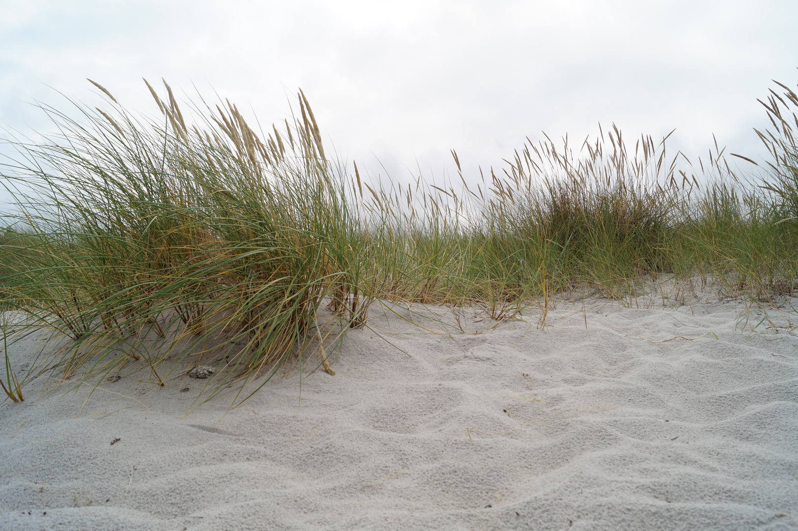 Düne am Schönberger Strand