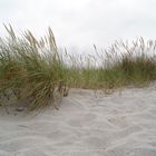 Düne am Schönberger Strand