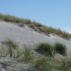 Düne am Weststrand