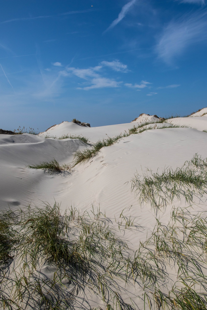 Düne Amrum