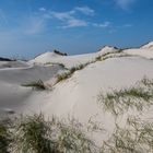 Düne Amrum