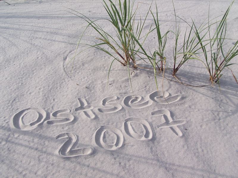 düne an der ostsee