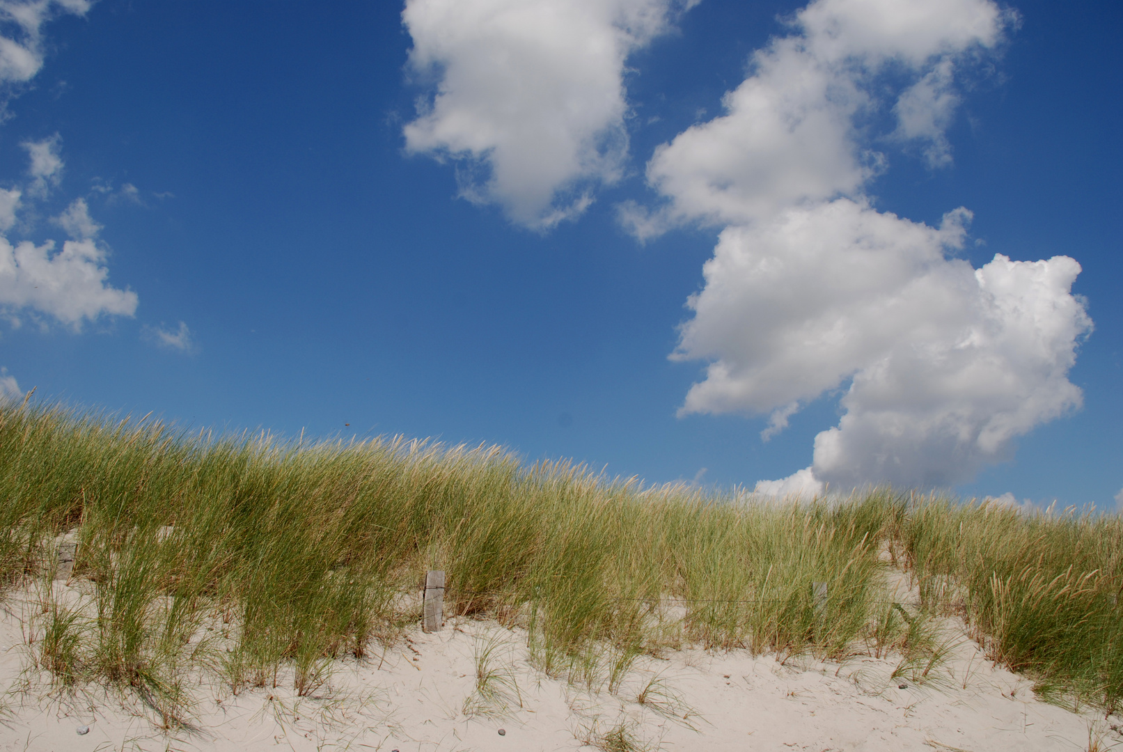 Düne an der Ostsee