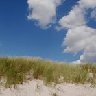 Düne an der Ostsee