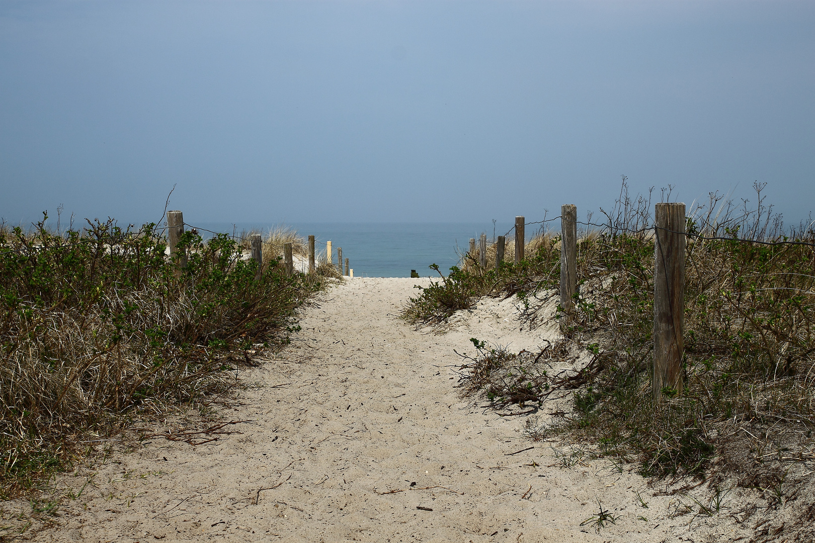 Düne an der Ostsee bei Graal Müritz