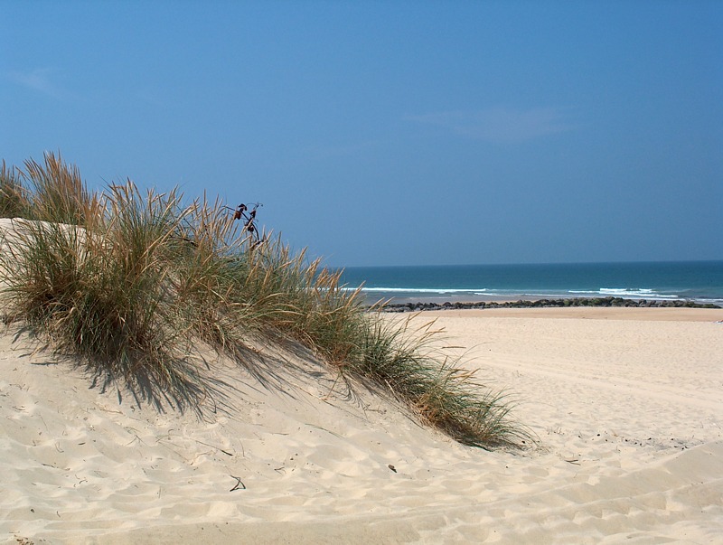 Düne an meinem Lieblingsstrand