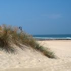 Düne an meinem Lieblingsstrand