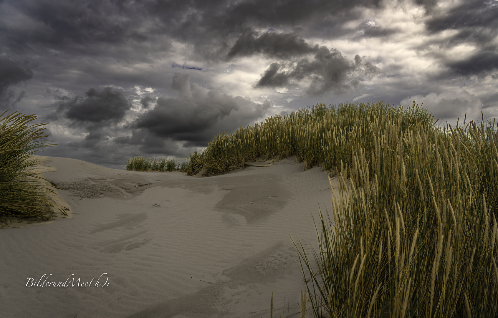 +++ Düne auf Amrum +++