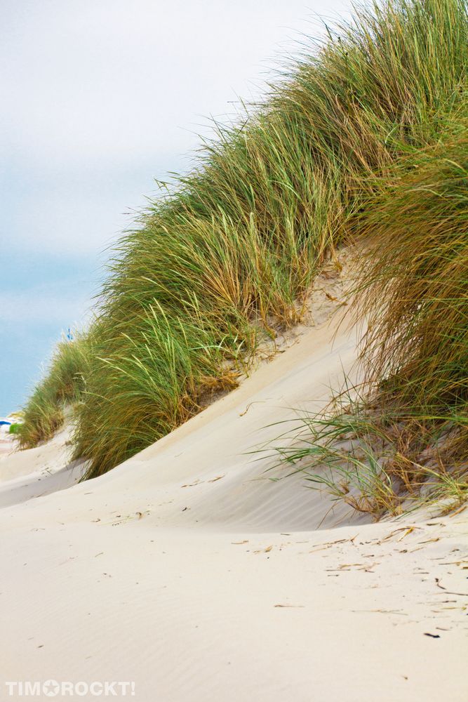 Düne auf Borkum