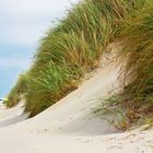 Düne auf Borkum