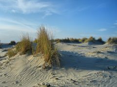 Düne auf Borkum