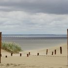 Düne auf der Kurischen Nehrung