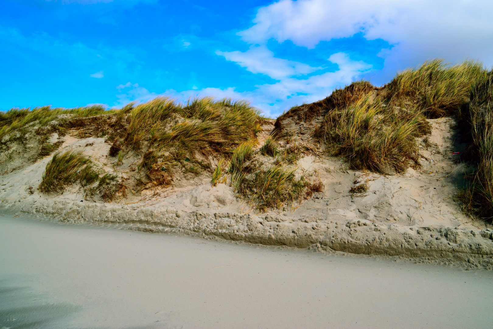 Düne auf Norderney