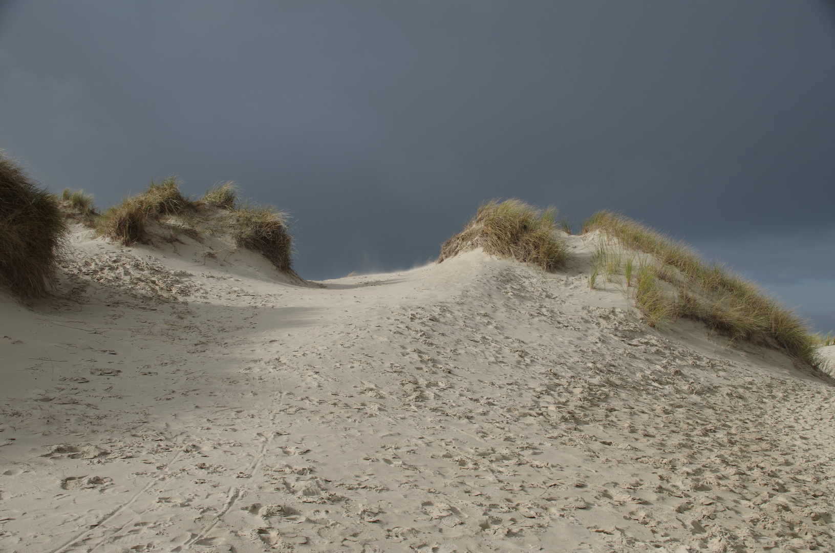 Düne auf Norderney