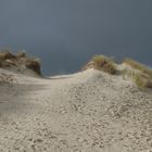 Düne auf Norderney