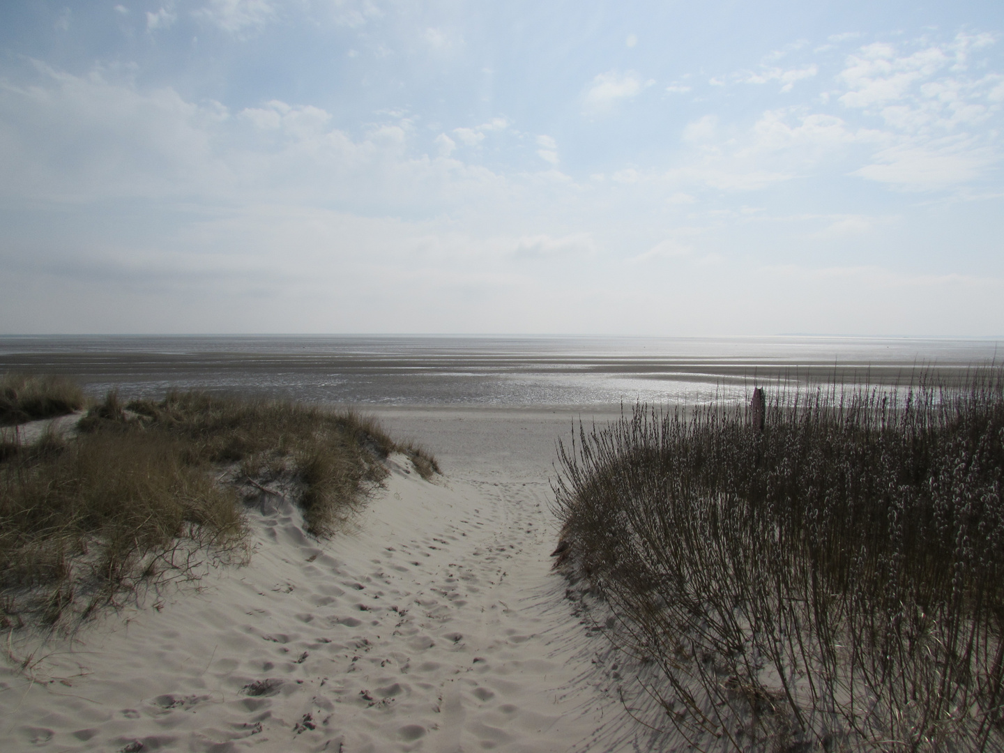 Düne bei Goting auf Föhr