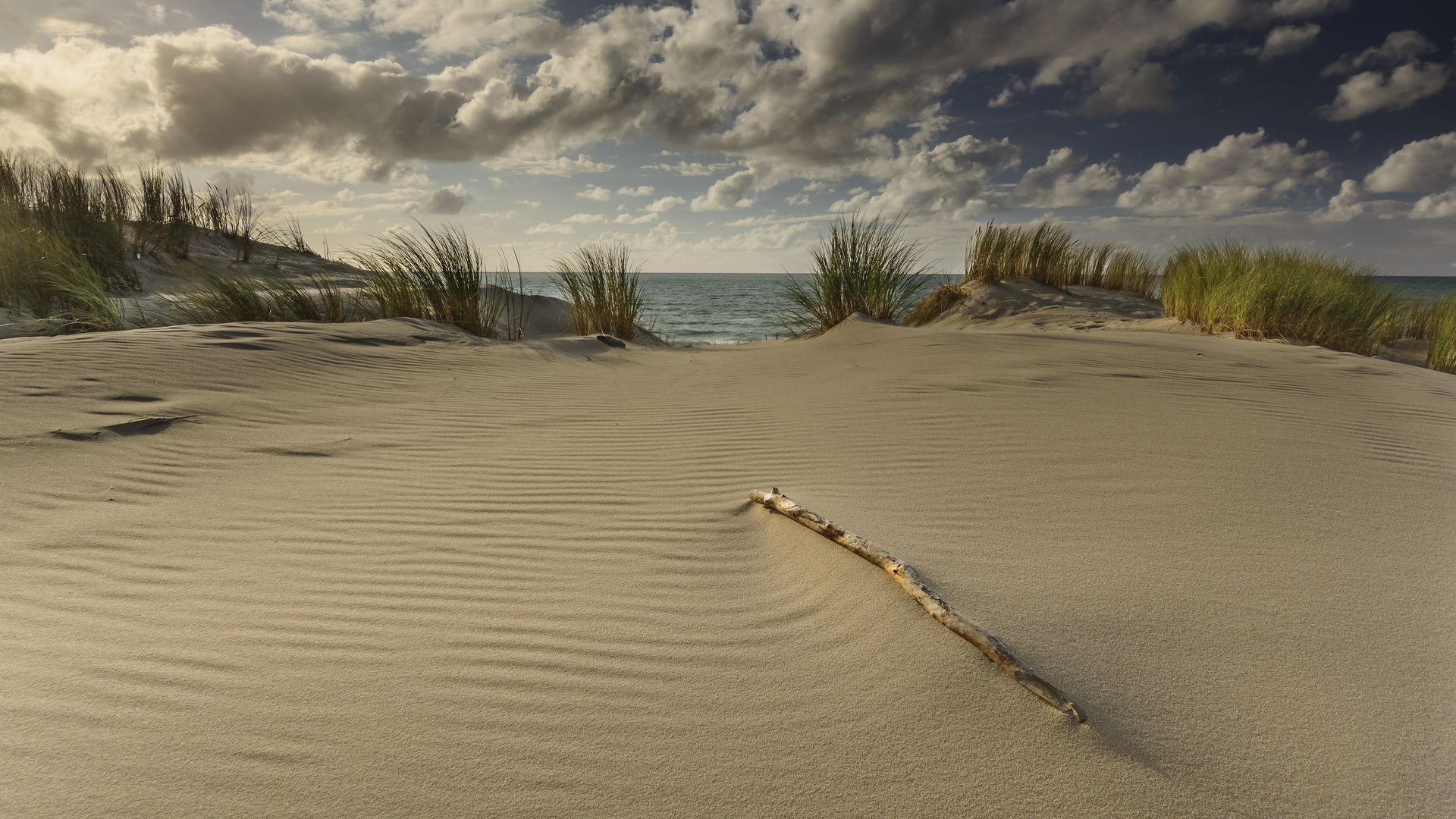 Düne bei Lacanau Frankreich