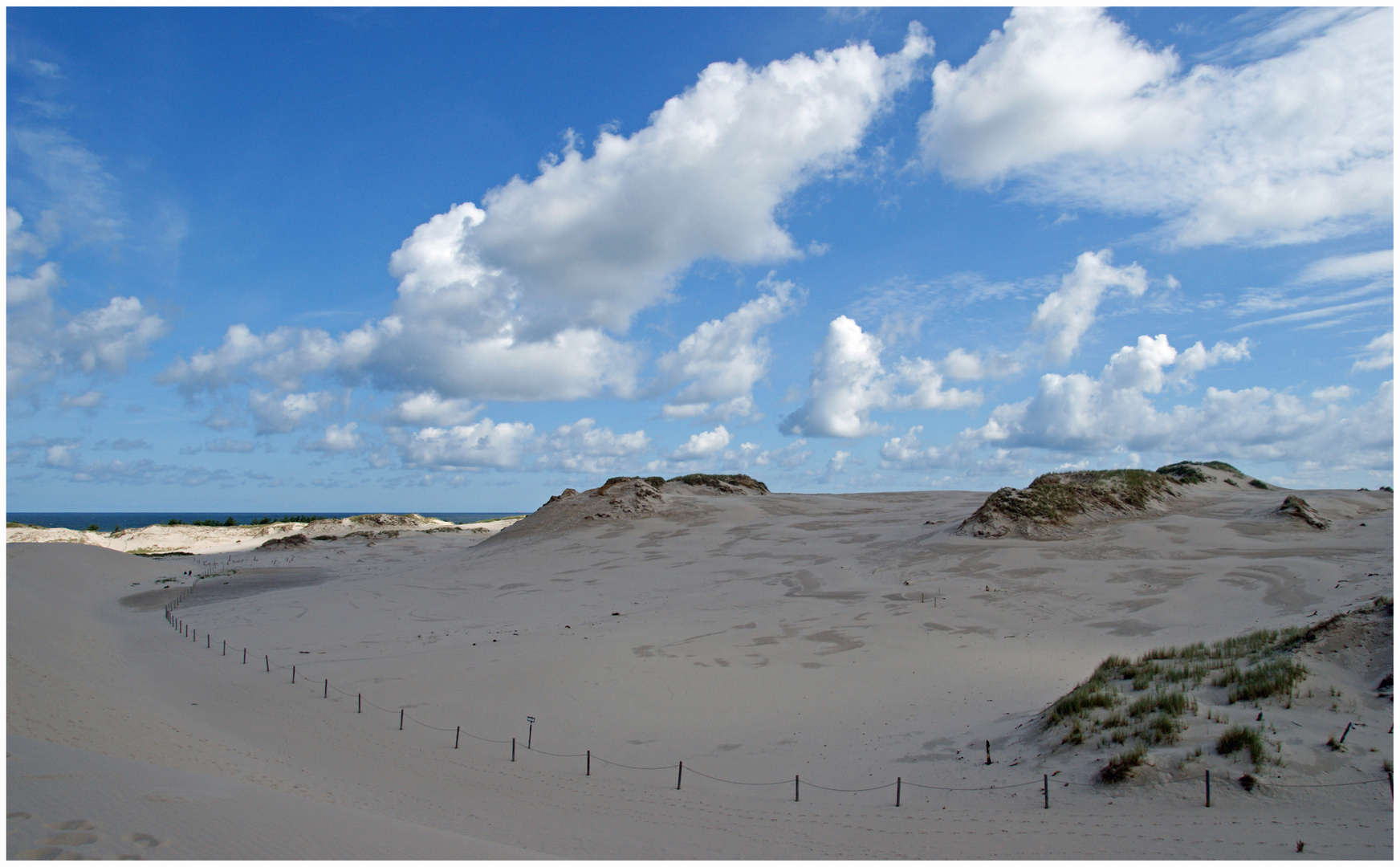 Düne bei Leba / Polen