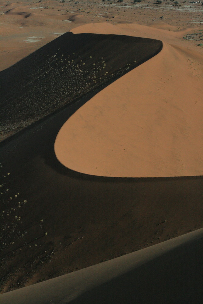 Düne bei Sossusvlei