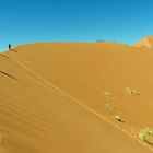 Düne Big Daddy in der Namib-Wüste