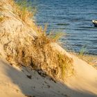 Düne, Boot und Bodden