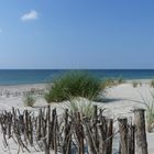 Düne Ellenbogen Sylt neu