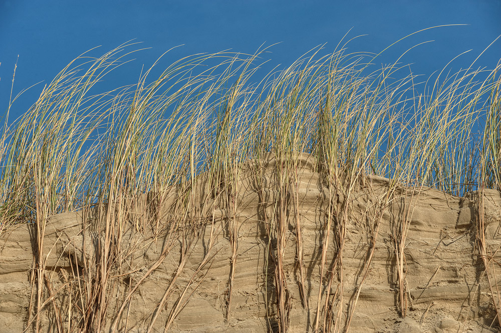 Düne, Gras und Himmel