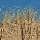 Düne, Gras und Himmel