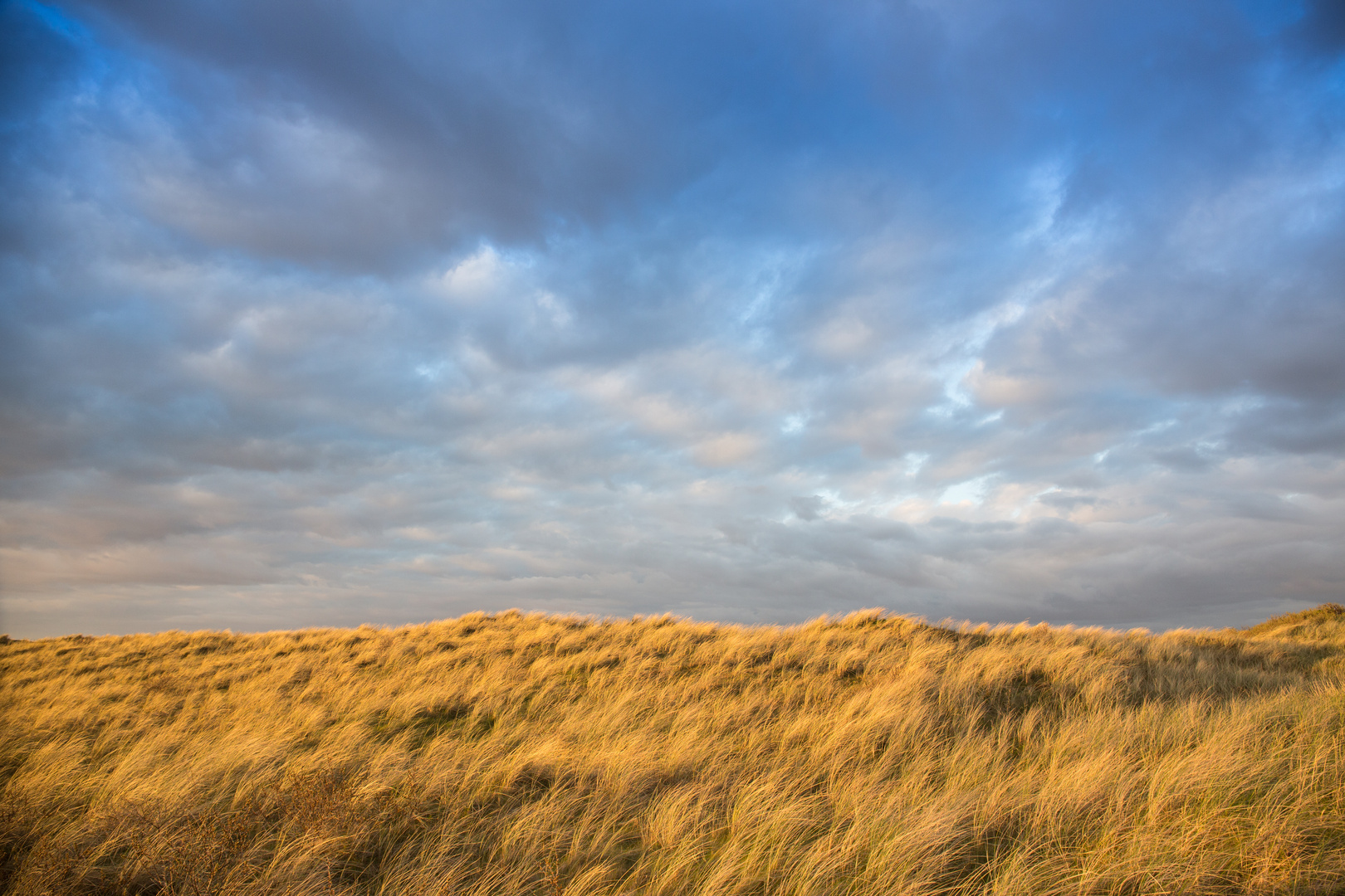 Düne im Abendlicht, Langeoog Ostern 2014