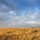 Düne im Abendlicht, Langeoog Ostern 2014