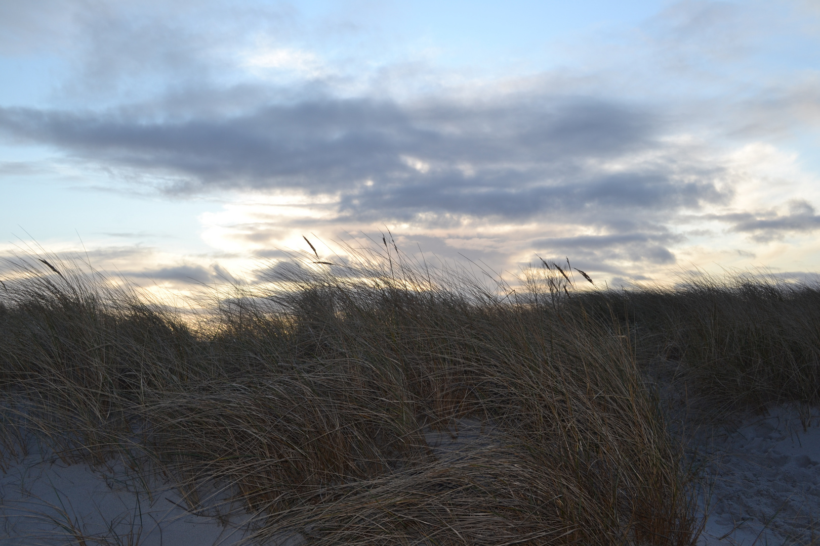 Düne im Gegenlicht