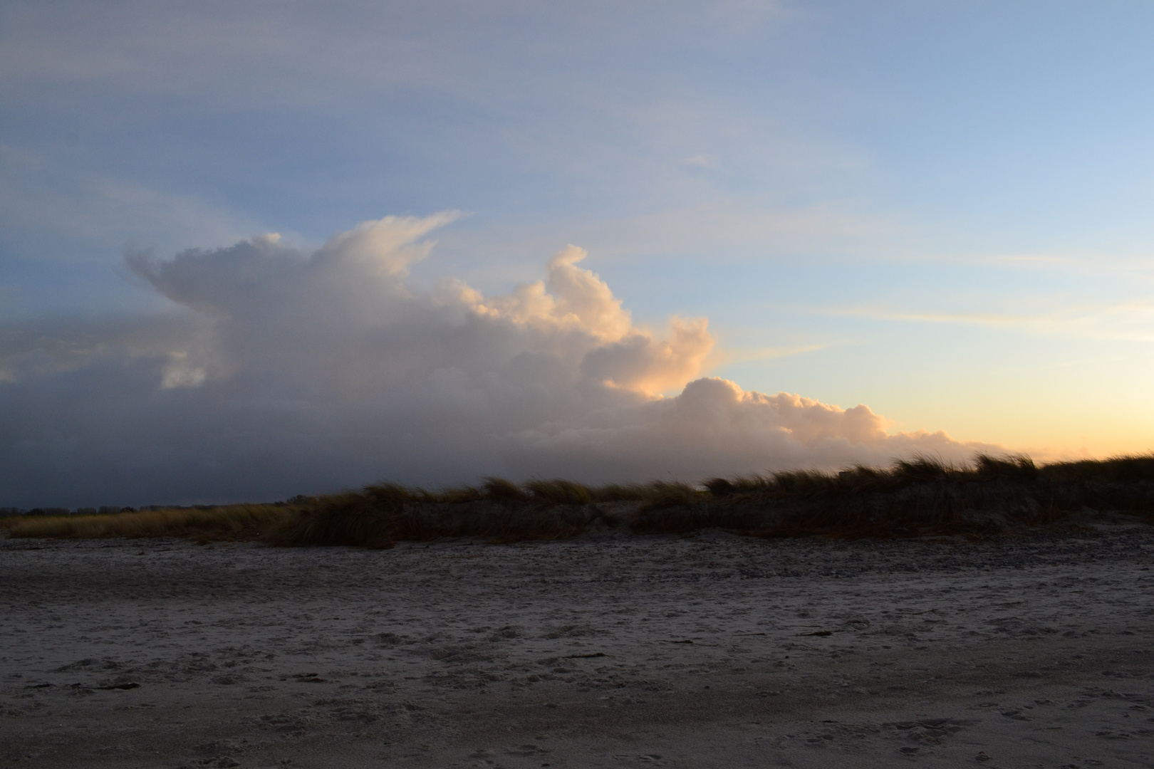 Düne im Gegenlicht II