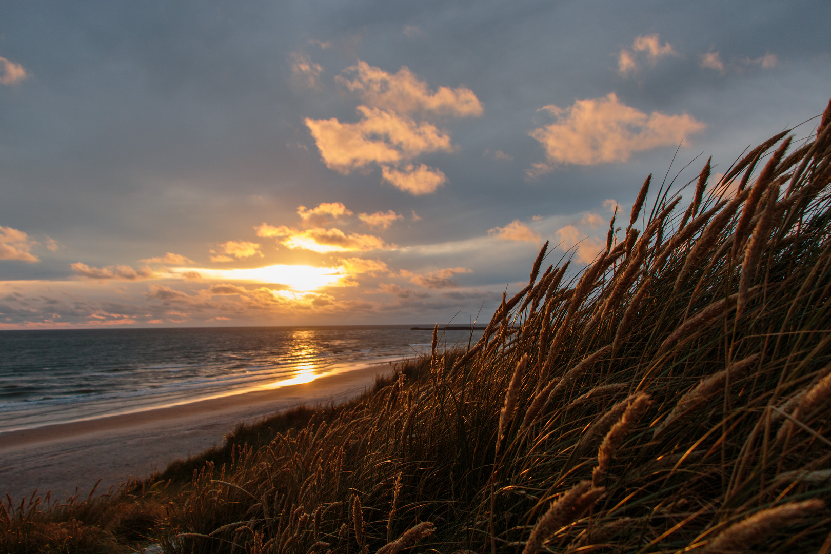 Düne im goldenen Licht