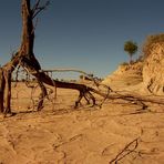 Düne im Mungo Nationalpark