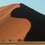 Düne im Namib Park