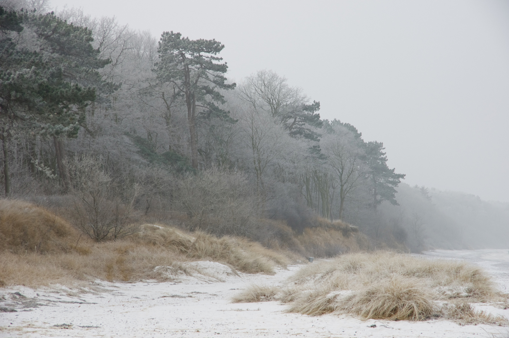 Düne im Schnee 