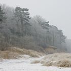 Düne im Schnee 