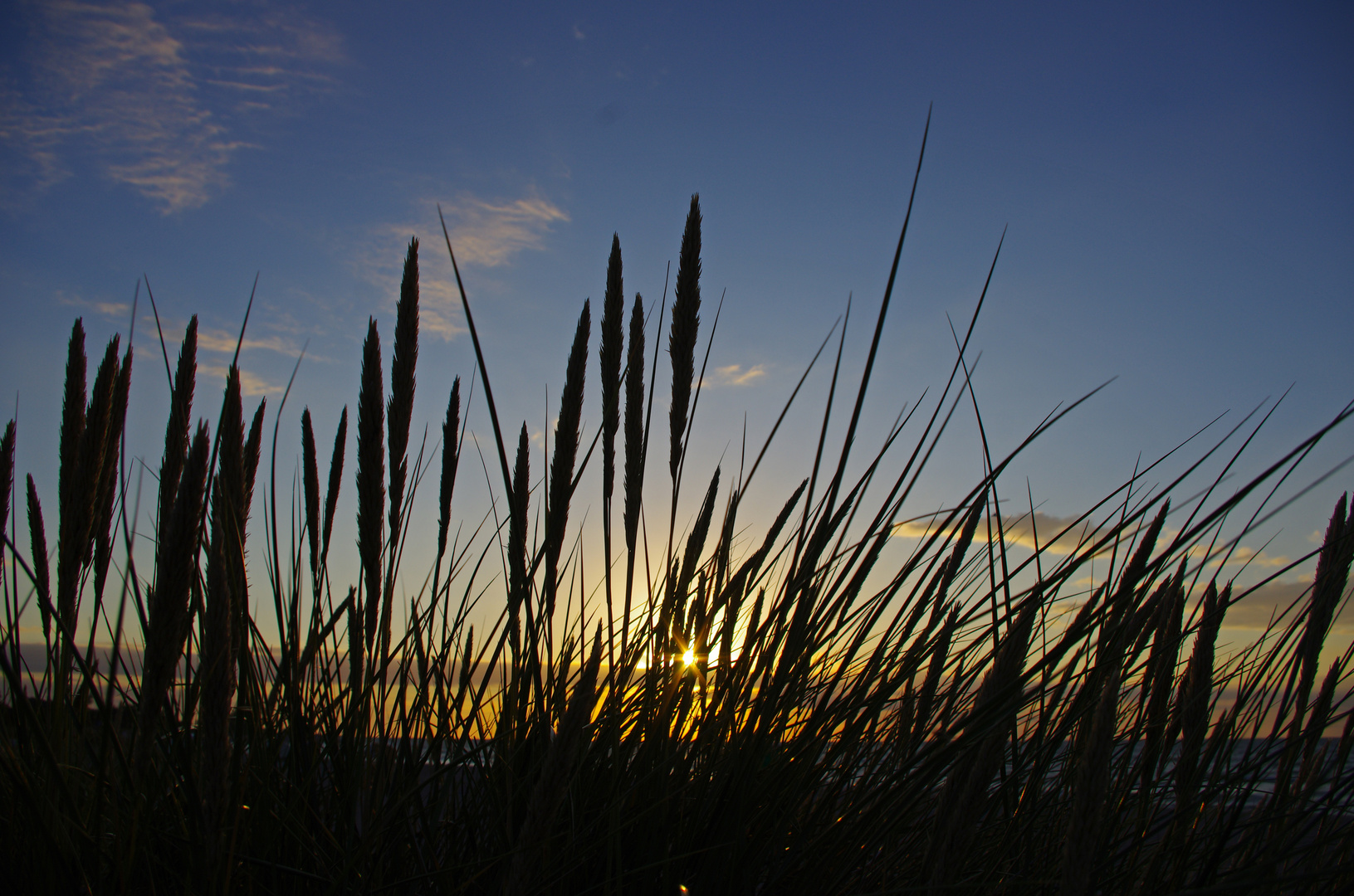 Düne im Sonnenuntergang