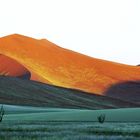 Düne im Sossus Vlei