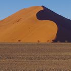 Düne im Sossusvlei