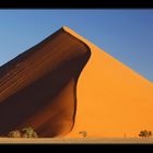 Düne im Sossusvlei