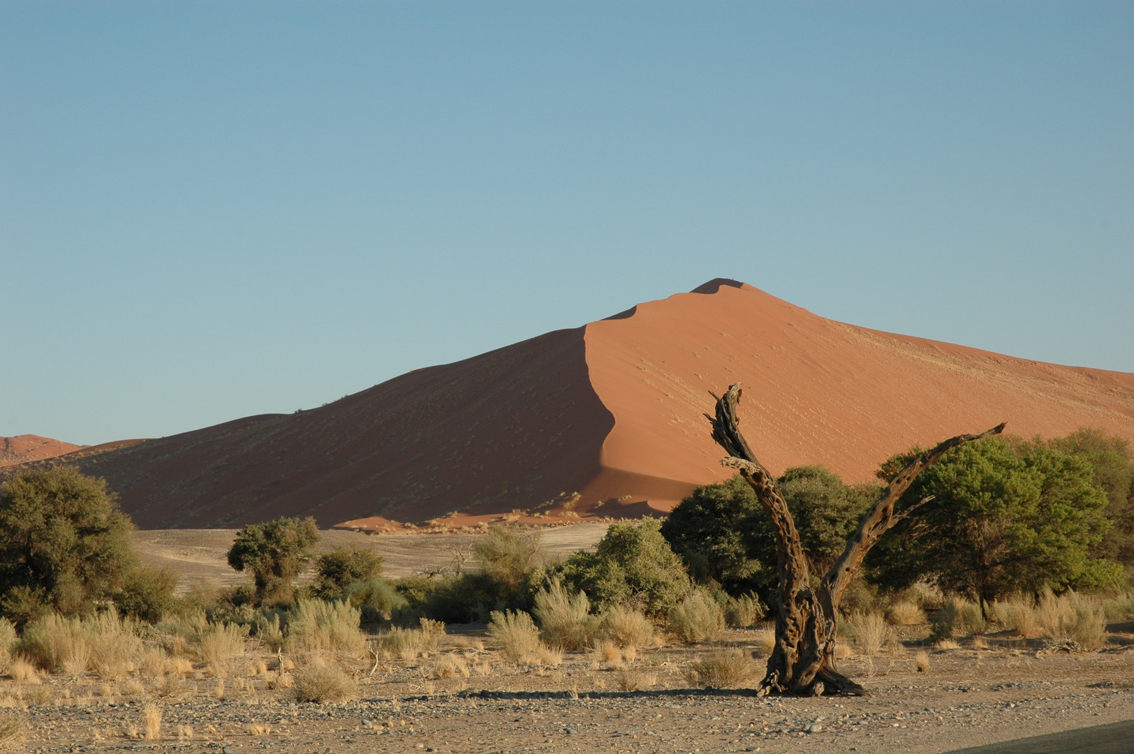 Düne im Sossusvlei