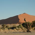 Düne im Sossusvlei