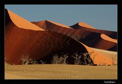 Düne im Soussusvlei I