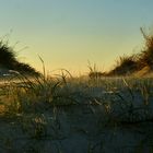 Düne im Wind