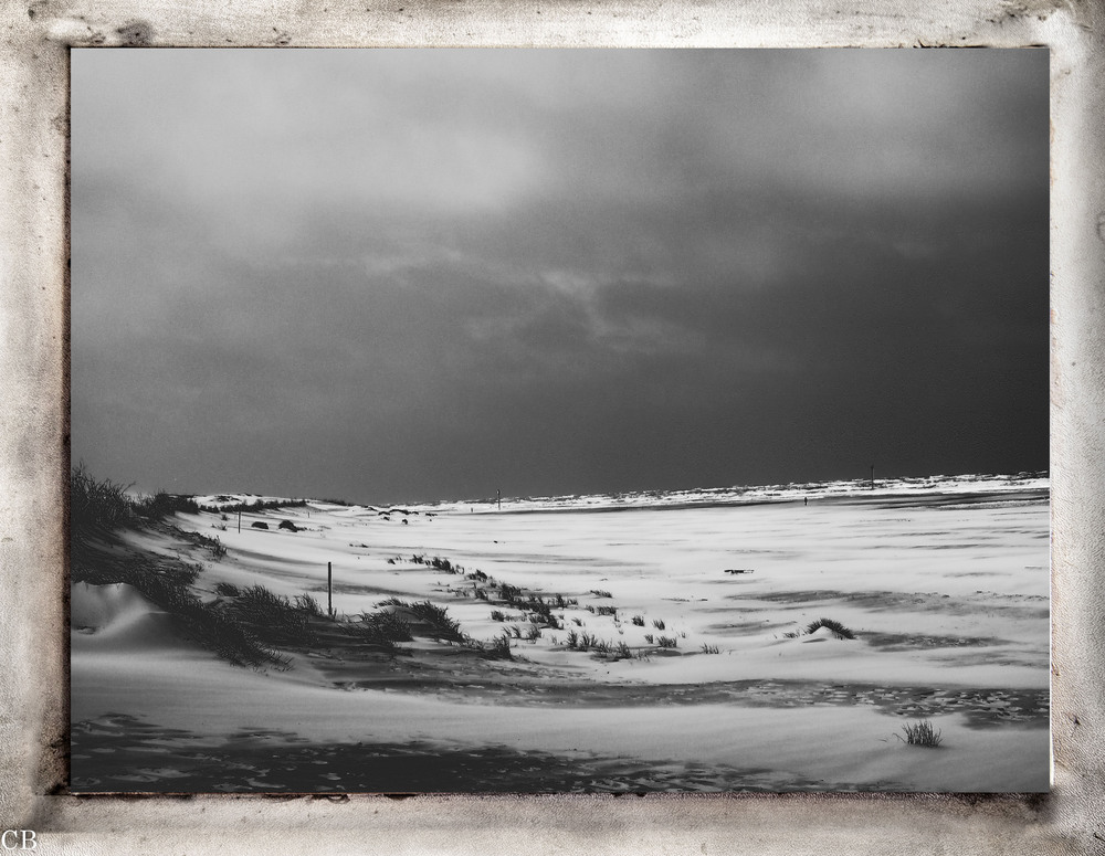 Düne im Wind