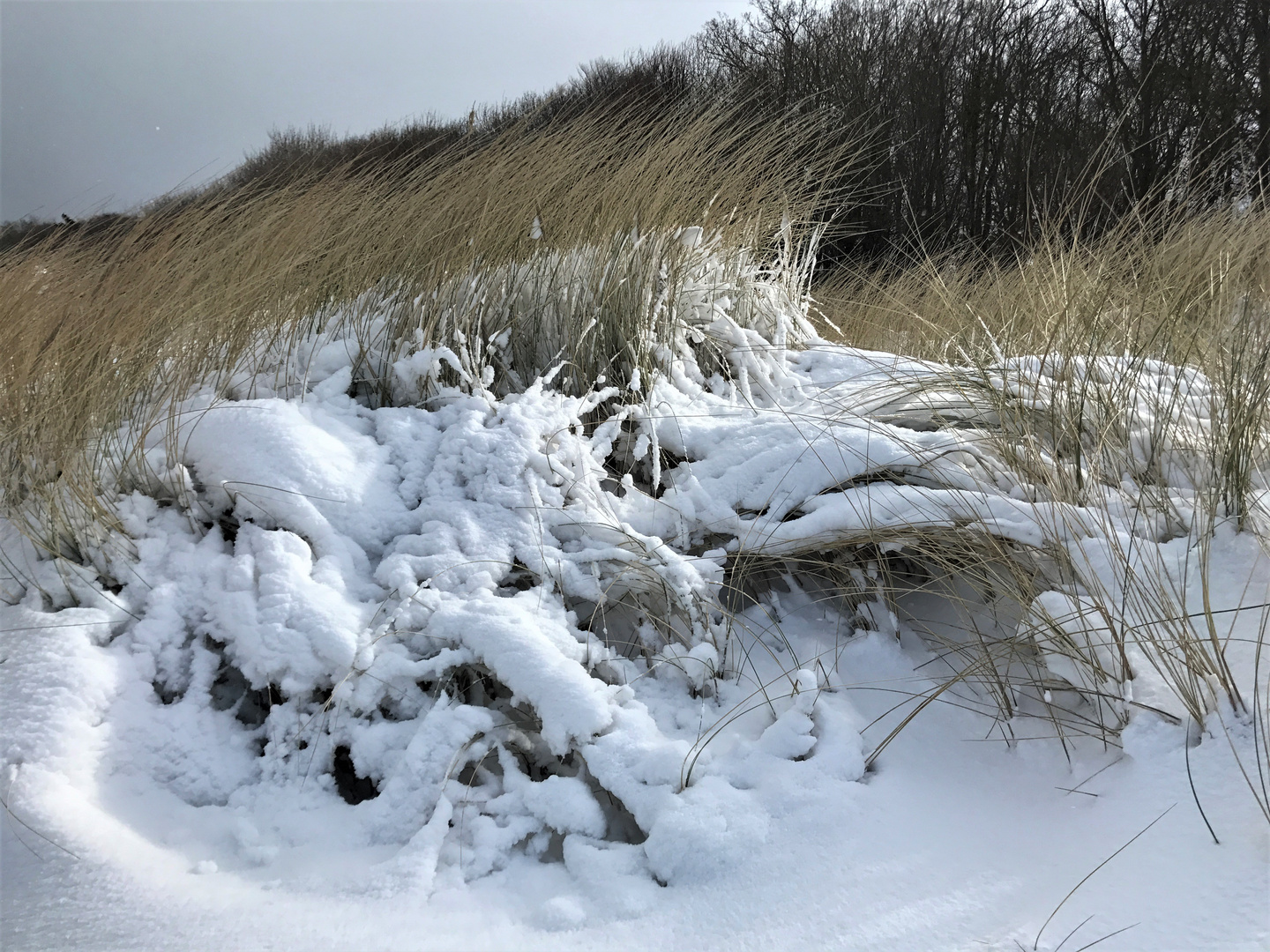 Düne im Winter