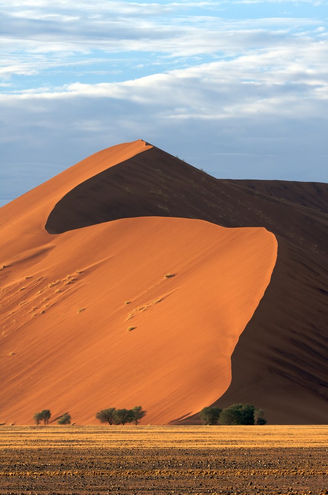 Düne in der Namib