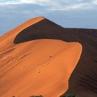 Düne in der Namib