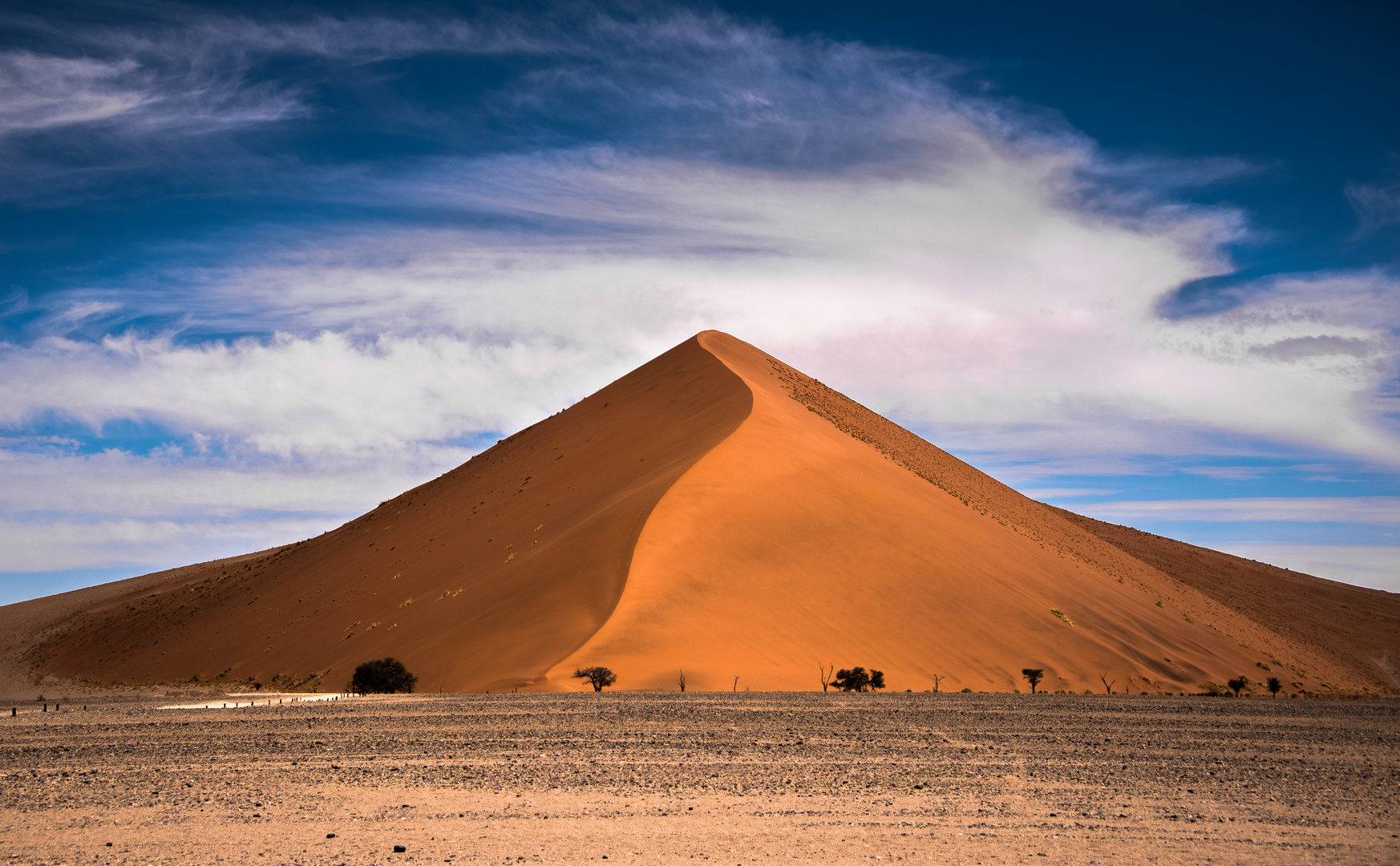 Düne in der Namib